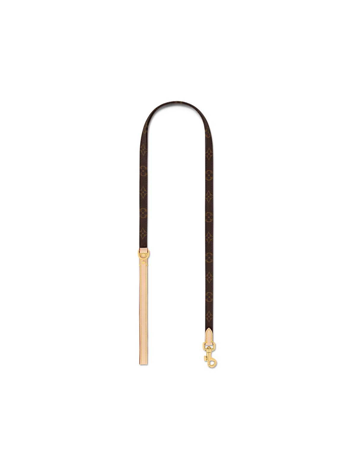 PM dog leash