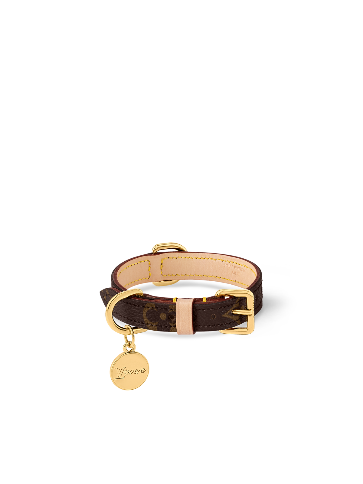 Collier pour chien XS