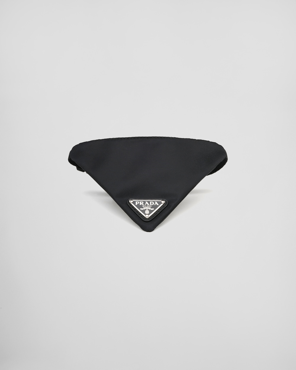 Re-Nylon pet collar
